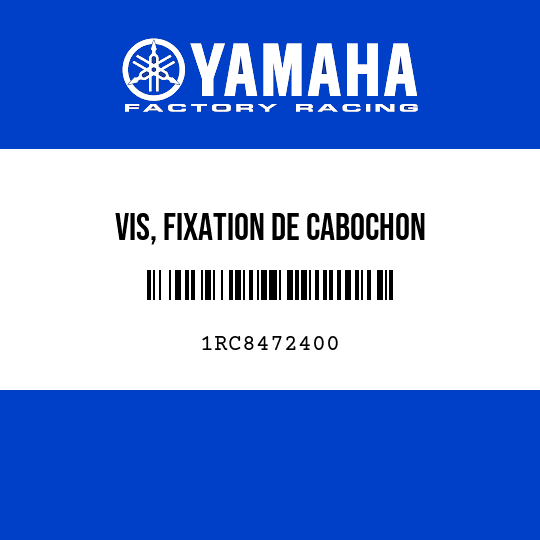 VIS, FIXATION DE CABOCHON