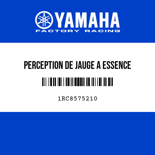 PERCEPTION DE JAUGE A ESSENCE