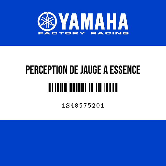 PERCEPTION DE JAUGE A ESSENCE