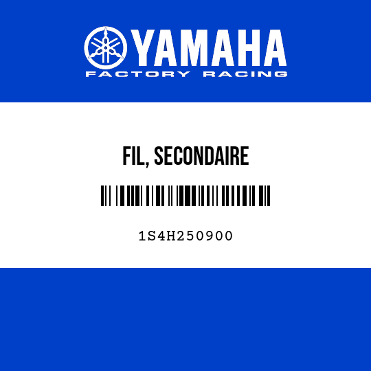 FIL, SECONDAIRE