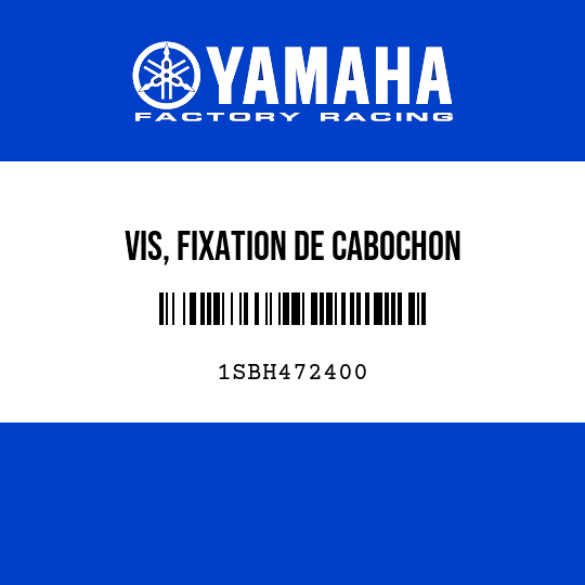 VIS, FIXATION DE CABOCHON