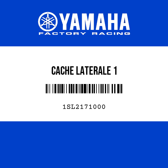 CACHE LATERALE 1