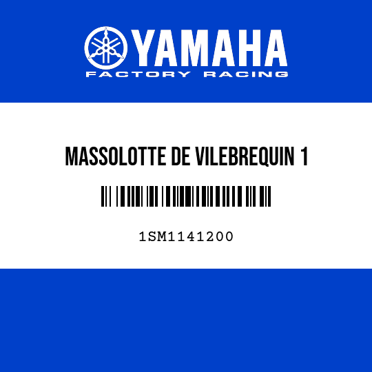 MASSOLOTTE DE VILEBREQUIN 1