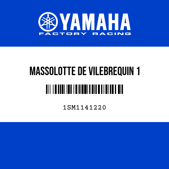MASSOLOTTE DE VILEBREQUIN 1