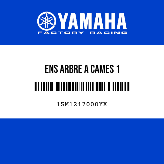 ENS ARBRE A CAMES 1