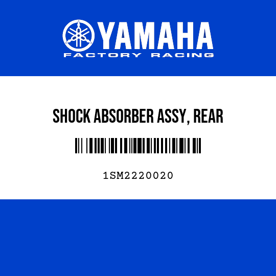 SHOCK ABSORBER ASSY, REAR