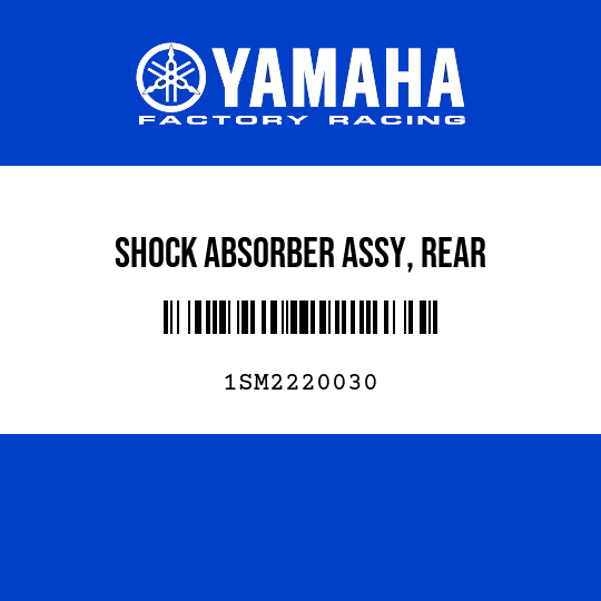 SHOCK ABSORBER ASSY, REAR