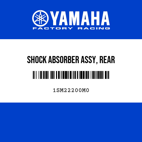 SHOCK ABSORBER ASSY, REAR