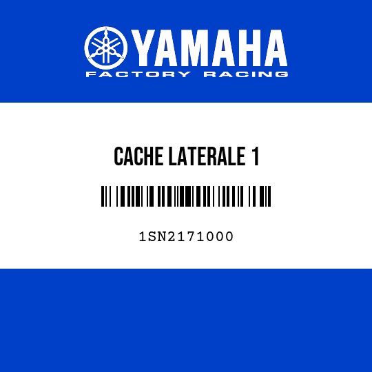 CACHE LATERALE 1