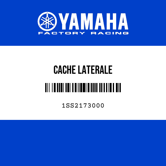 CACHE LATERALE