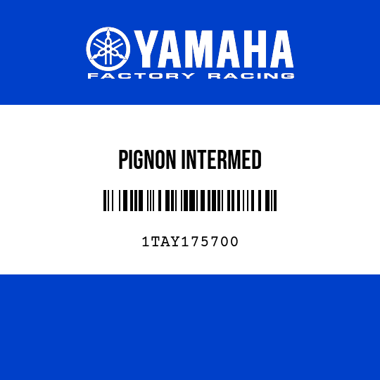 PIGNON INTERMED