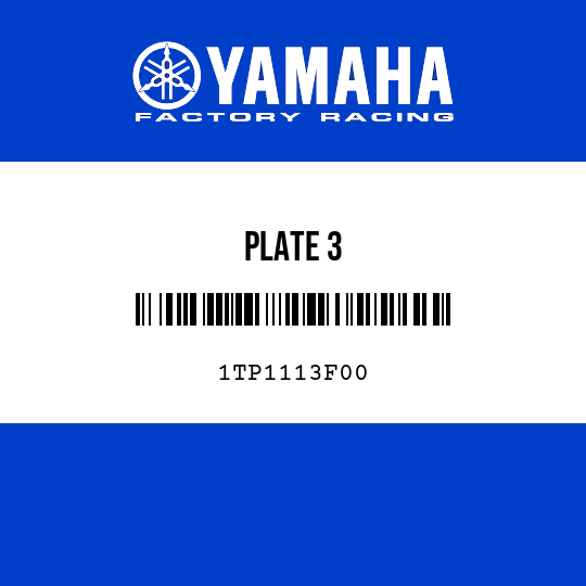 PLATE 3