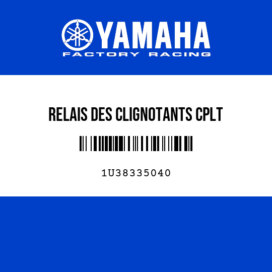 RELAIS DES CLIGNOTANTS CPLT