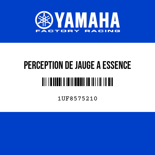 PERCEPTION DE JAUGE A ESSENCE