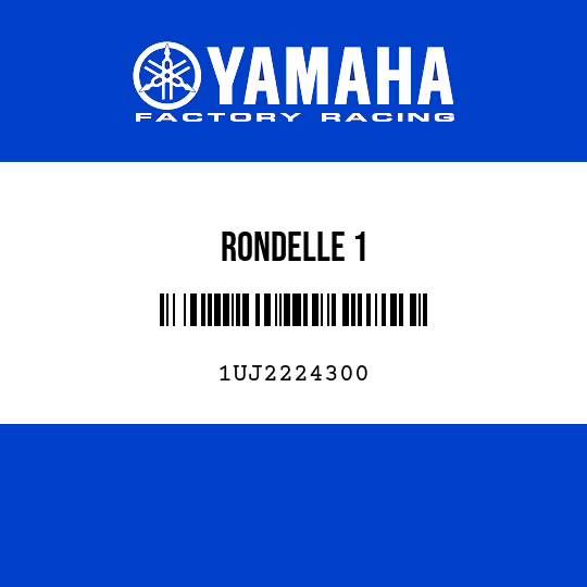 RONDELLE 1