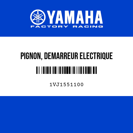 PIGNON, DEMARREUR ELECTRIQUE