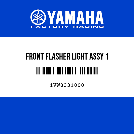 FRONT FLASHER LIGHT ASSY 1