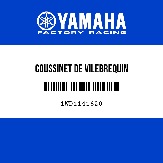 COUSSINET DE VILEBREQUIN
