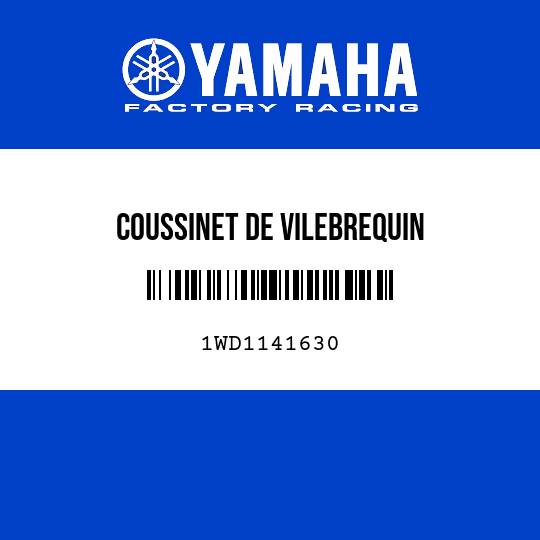 COUSSINET DE VILEBREQUIN