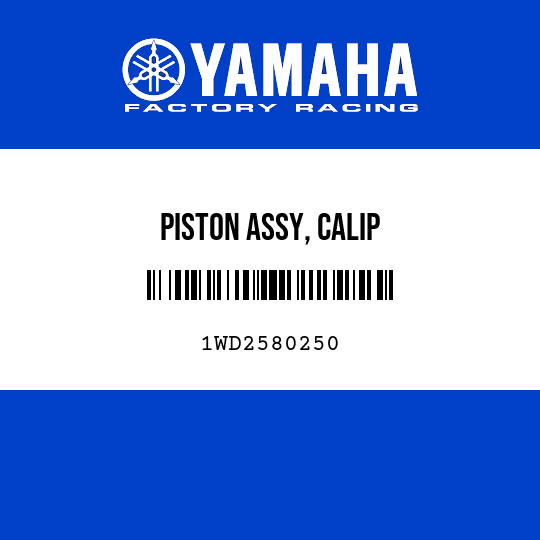 PISTON ASSY, CALIP
