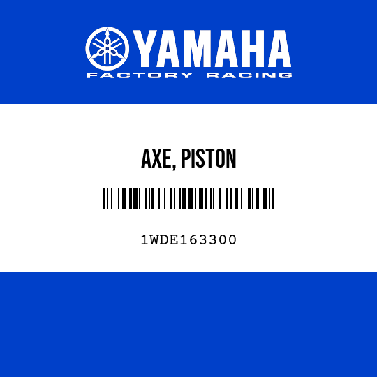 AXE, PISTON