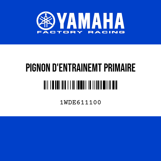 PIGNON D'ENTRAINEMT PRIMAIRE