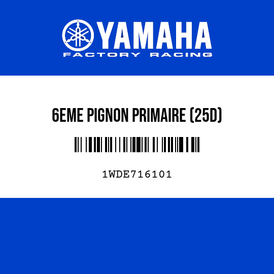 6EME PIGNON PRIMAIRE (25D)