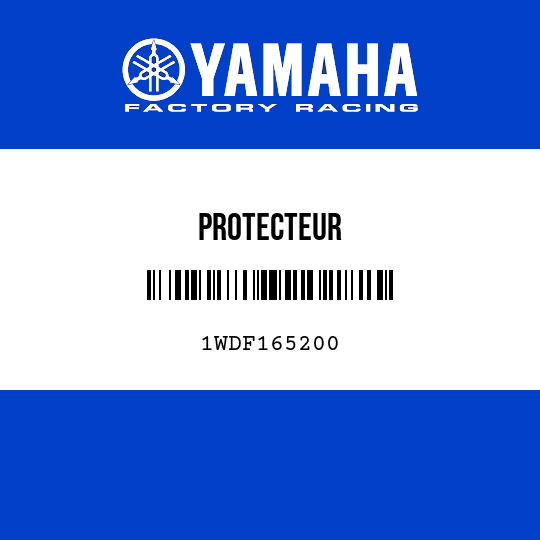 PROTECTEUR