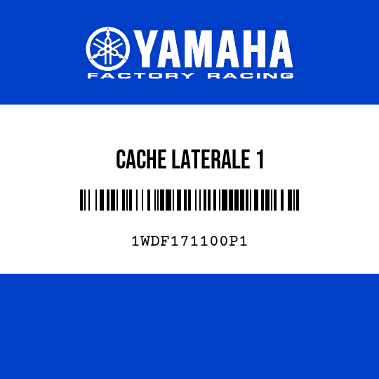CACHE LATERALE 1