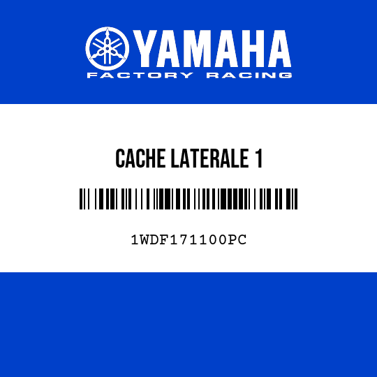 CACHE LATERALE 1