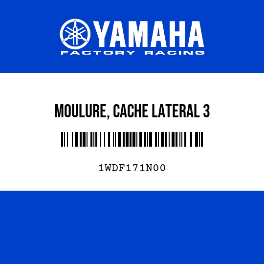 MOULURE, CACHE LATERAL 3