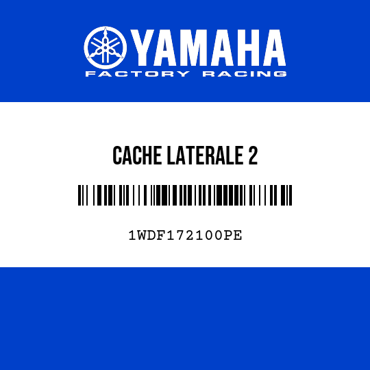 CACHE LATERALE 2