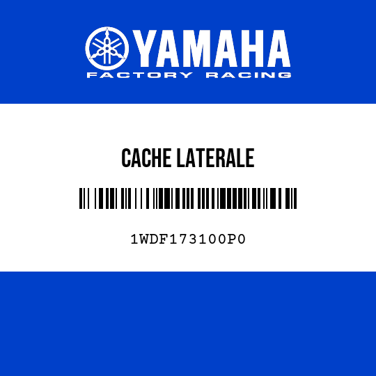 CACHE LATERALE