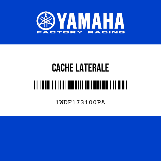 CACHE LATERALE