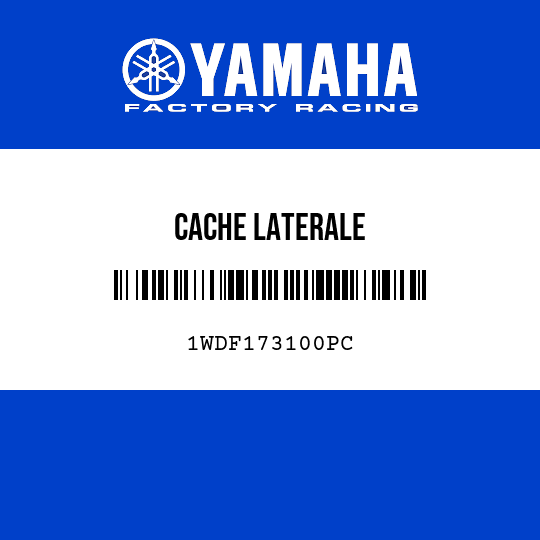 CACHE LATERALE