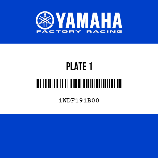 PLATE 1