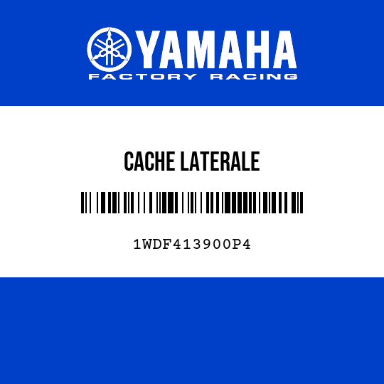 CACHE LATERALE