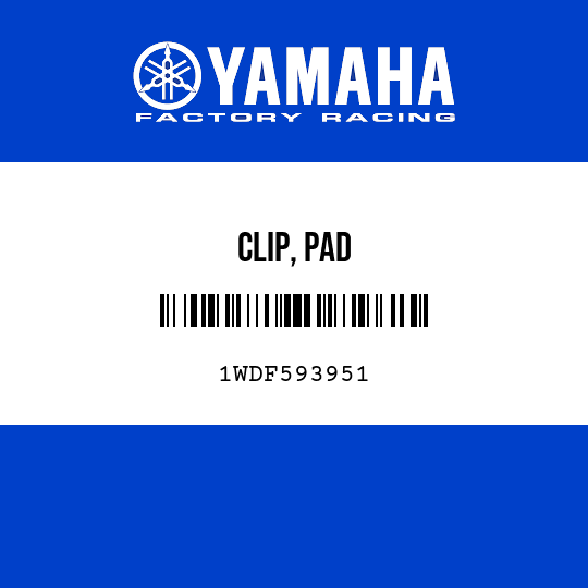 CLIP, PAD
