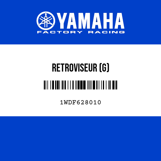 RETROVISEUR (G)