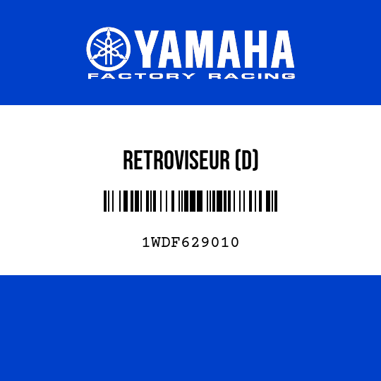 RETROVISEUR (D)