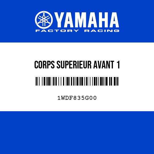 CORPS SUPERIEUR AVANT 1