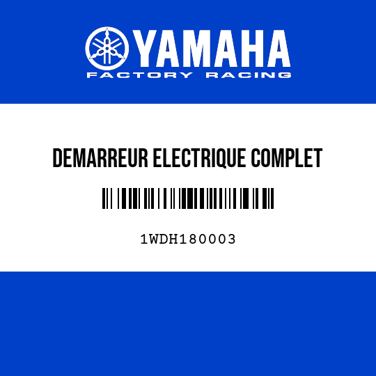 DEMARREUR ELECTRIQUE COMPLET