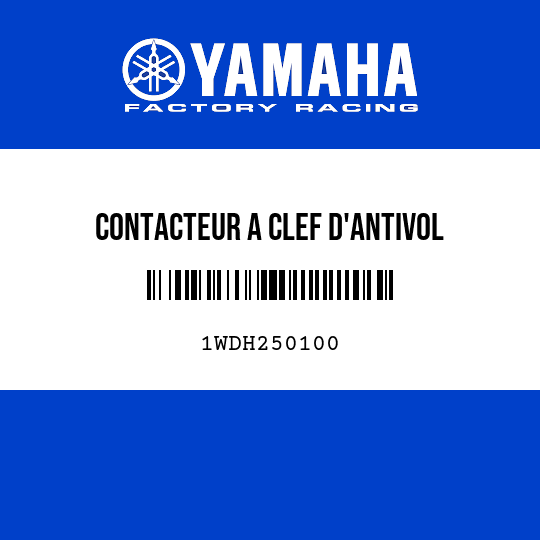 CONTACTEUR A CLEF D'ANTIVOL