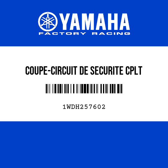 COUPE-CIRCUIT DE SECURITE CPLT