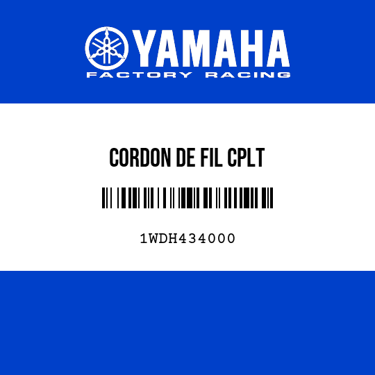 CORDON DE FIL CPLT