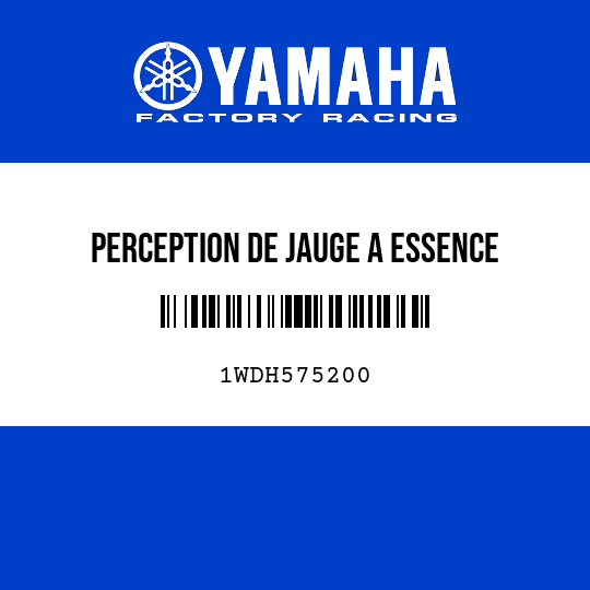 PERCEPTION DE JAUGE A ESSENCE