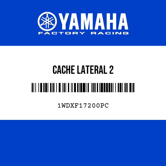 CACHE LATERAL 2
