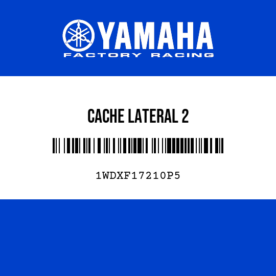 CACHE LATERAL 2