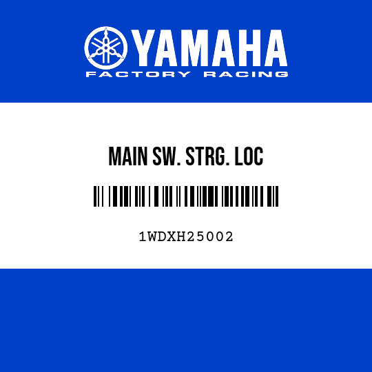 MAIN SW. STRG. LOC