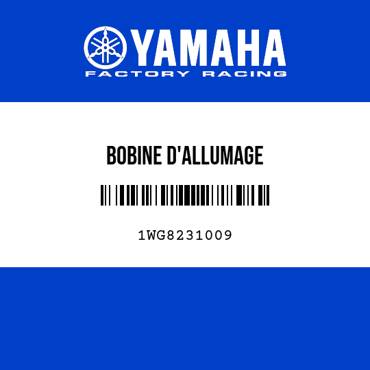 BOBINE D'ALLUMAGE